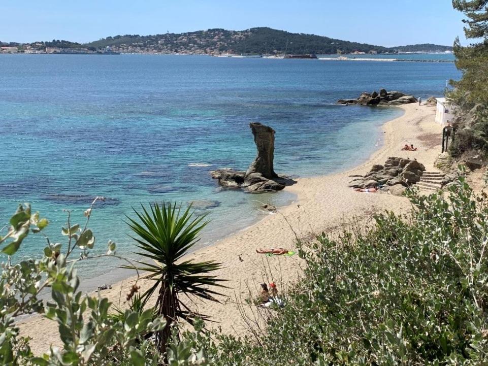 Superbe Appartement Proche Gare Toulon Exterior photo